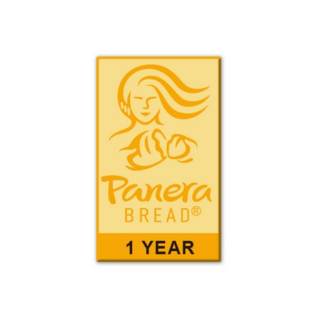 1 Year Service Award Pin