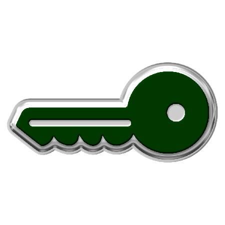 Own It Pin